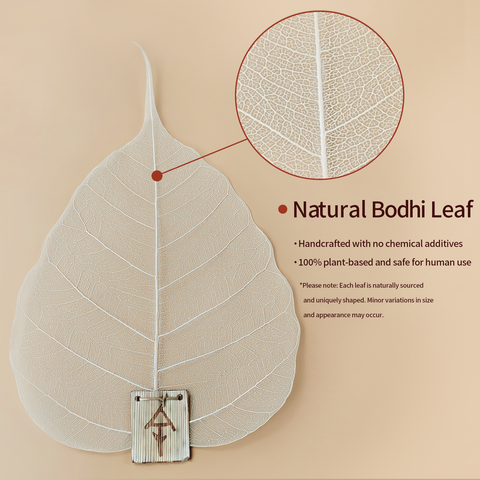 The Most Beautiful Tea Filter You’ve Never Seen – Natural Bodhi Leaf for Mindful Brewing