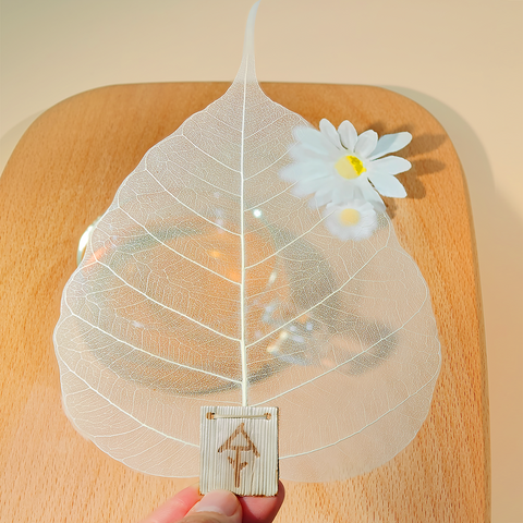 Natural Bodhi Leaf Tea Filter