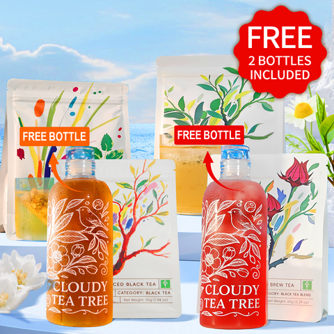 Cold Brew Tea Family Pack