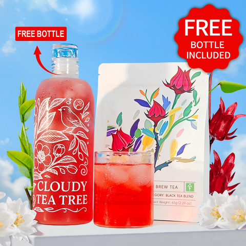 Hibiscus Black Cold Brew Tea