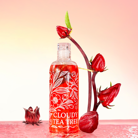Hibiscus Black Cold Brew Tea